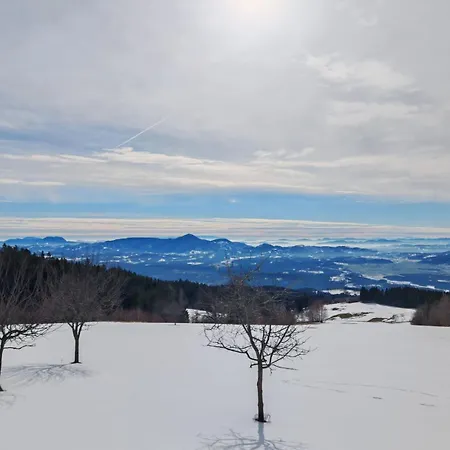 Apartment Apartma Pod Tremi Kralji *